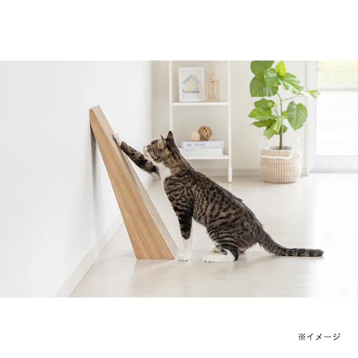 フリースタイル スクラッチャー