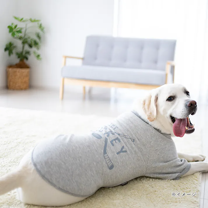 【送料無料】ロゴトレーナー グレー Sサイズ ペット服(犬の服)