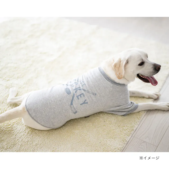 【送料無料】ロゴトレーナー グレー Mサイズ ペット服(犬の服)