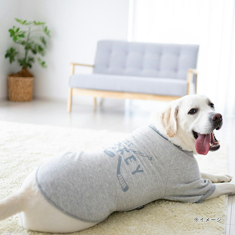 送料無料】ロゴトレーナー グレー Mサイズ ペット服(犬の服) | ペット