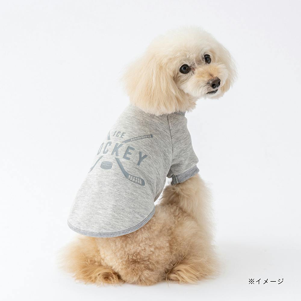 ーダーの犬の服 送料無料】ロゴトレーナー グレー SSサイズ ペット服(犬の服) | ペット