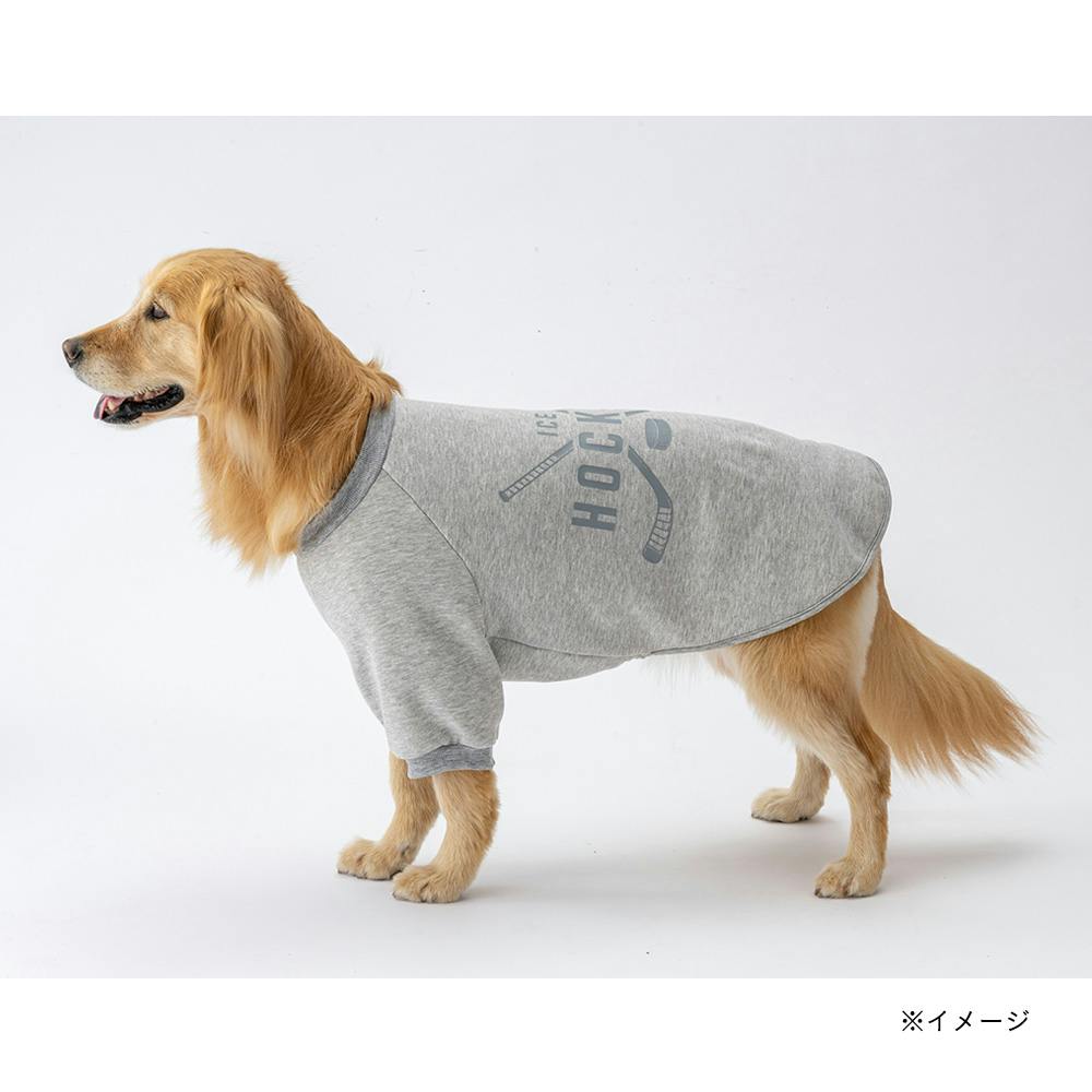 送料無料】ロゴトレーナー グレー SSサイズ ペット服(犬の服) | ペット