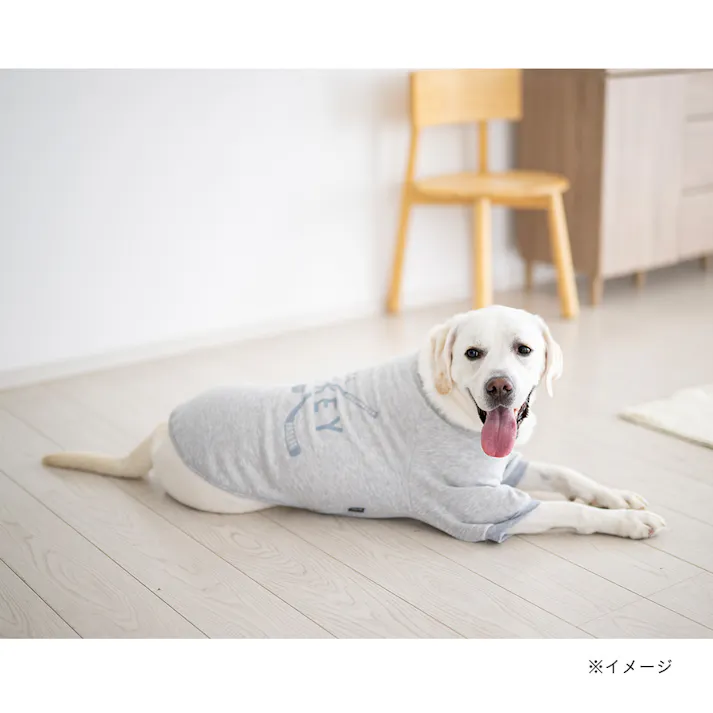 【送料無料】ロゴトレーナー グレー SSサイズ ペット服(犬の服)