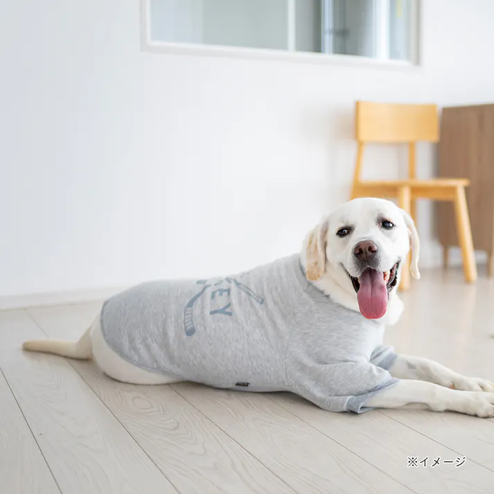 【送料無料】ロゴトレーナー グレー SSサイズ ペット服(犬の服)