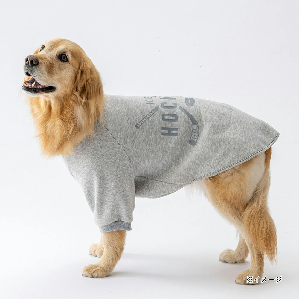 犬　ペット用洋服 メール便対象品】ペット用 術後服 犬 男の子用 6号 ネイビー 大阪公立