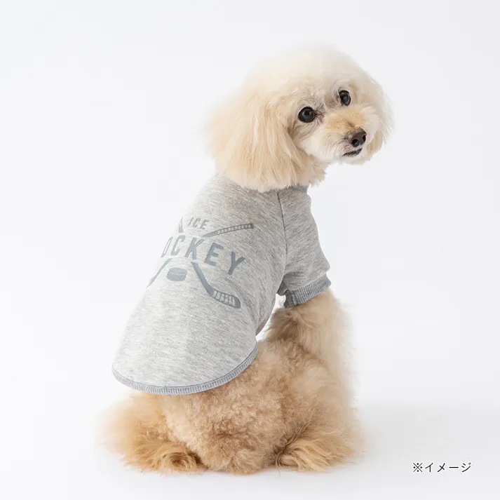 【送料無料】ロゴトレーナー グレー 5Lサイズ ペット服(犬の服)