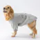 【送料無料】ロゴトレーナー グレー 5Lサイズ ペット服(犬の服)