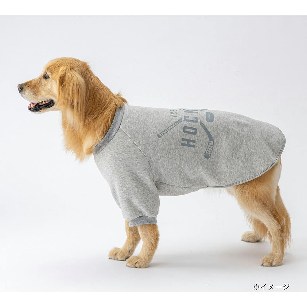 送料無料】ロゴトレーナー グレー 5Lサイズ ペット服(犬の服) | ペット