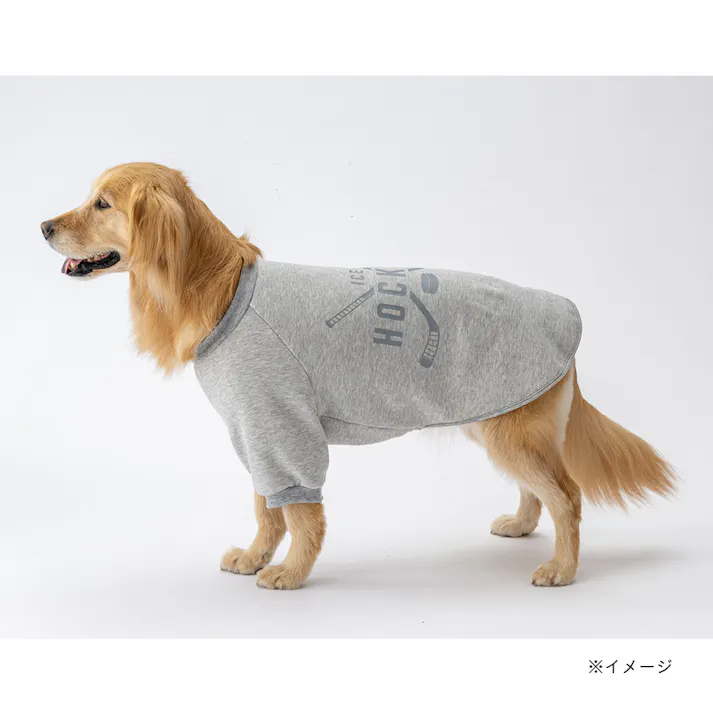 【送料無料】ロゴトレーナー グレー 6Lサイズ ペット服(犬の服)