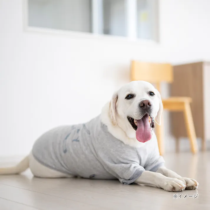 【送料無料】ロゴトレーナー グレー 6Lサイズ ペット服(犬の服)