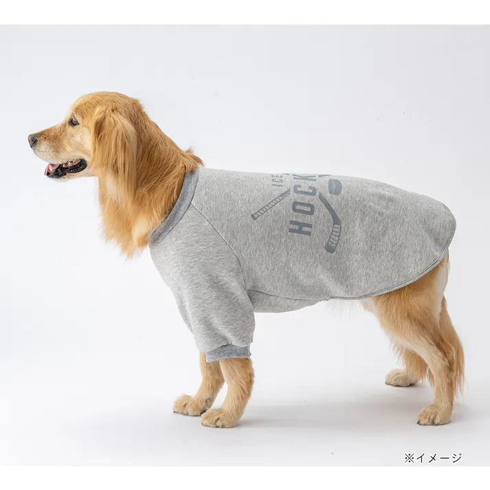 【送料無料】ロゴトレーナー グレー 7Lサイズ ペット服(犬の服)