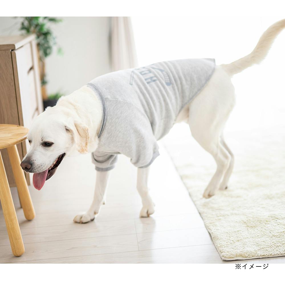 送料無料】ロゴトレーナー グレー 7Lサイズ ペット服(犬の服