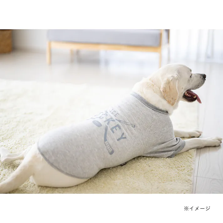 【送料無料】ロゴトレーナー グレー 7Lサイズ ペット服(犬の服)