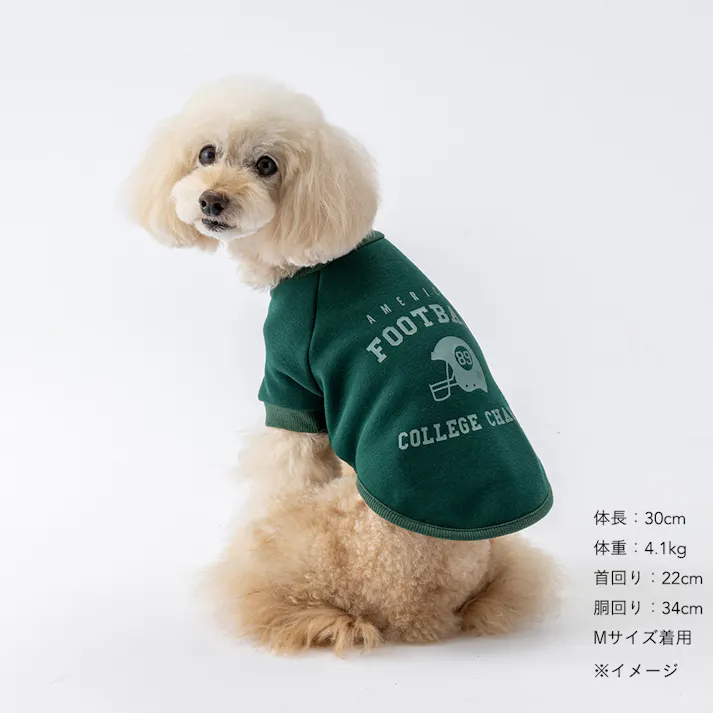 【送料無料】ロゴトレーナー グリーン Mサイズ ペット服(犬の服)