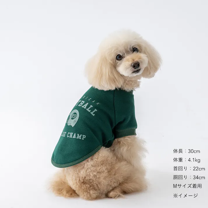 【送料無料】ロゴトレーナー グリーン Mサイズ ペット服(犬の服)