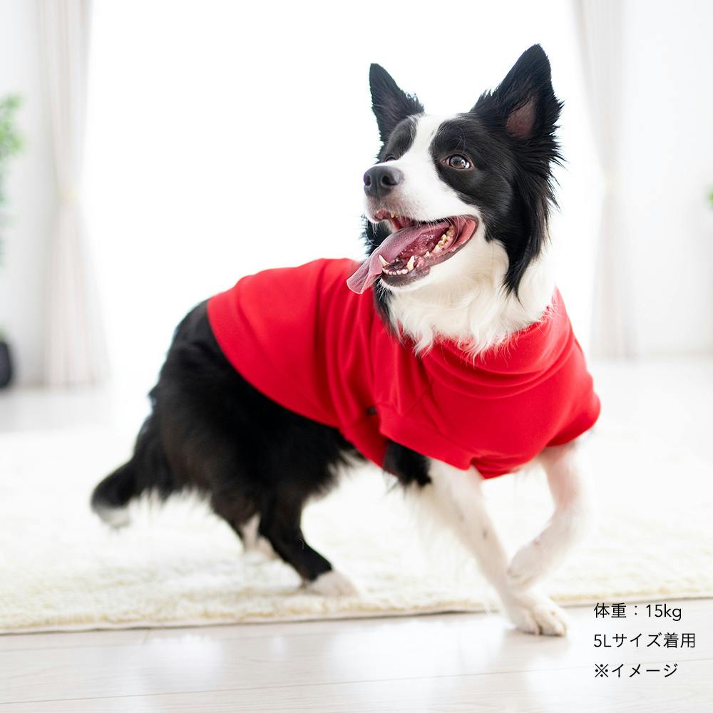 ミカン　クニオコレクションスウェット　トレーナー　犬のタートルネック ミカン クニオコレクションスウェット トレーナー 犬の