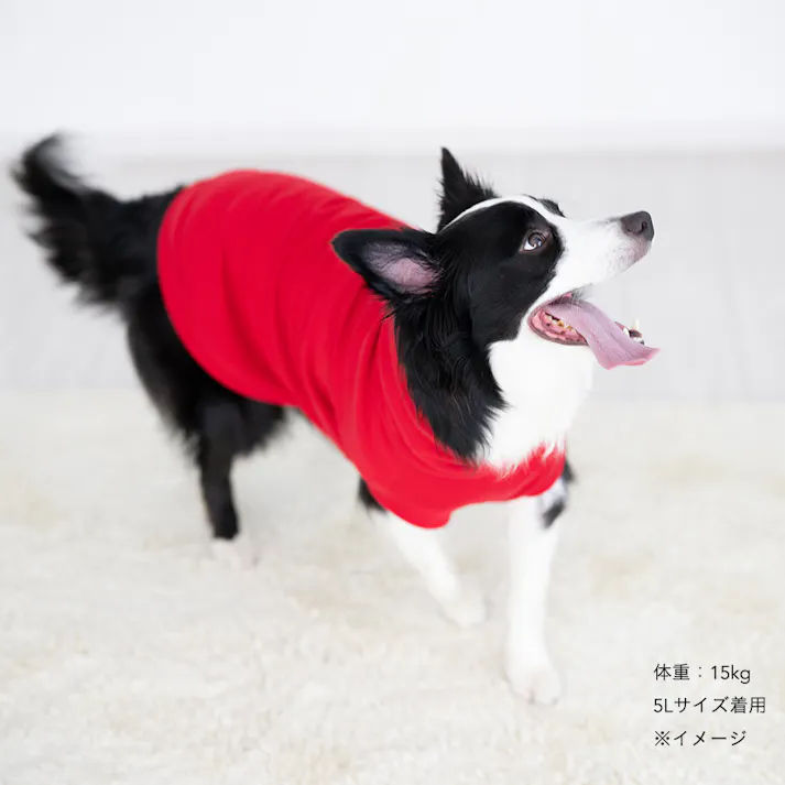 【送料無料】ハイネックカットソー レッド 2Lサイズ ペット服(犬の服)