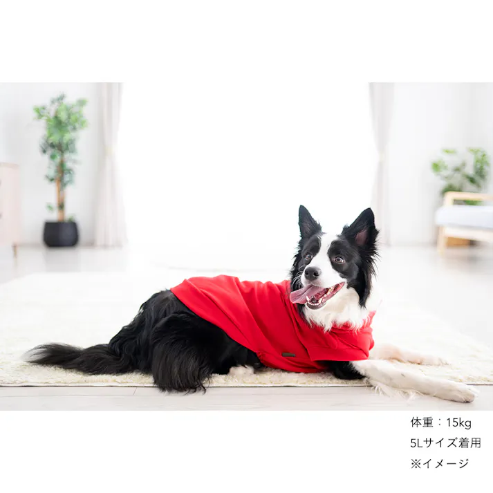 【送料無料】ハイネックカットソー レッド 4Lサイズ ペット服(犬の服)