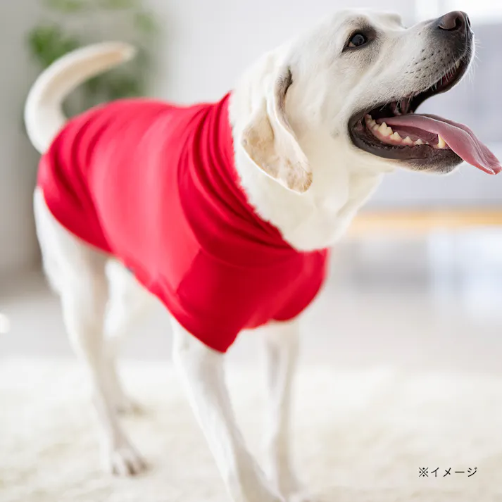 【送料無料】ハイネックカットソー レッド 6Lサイズ ペット服(犬の服)