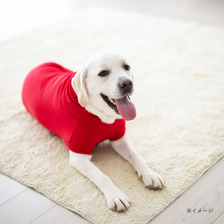 【送料無料】ハイネックカットソー レッド 6Lサイズ ペット服(犬の服)