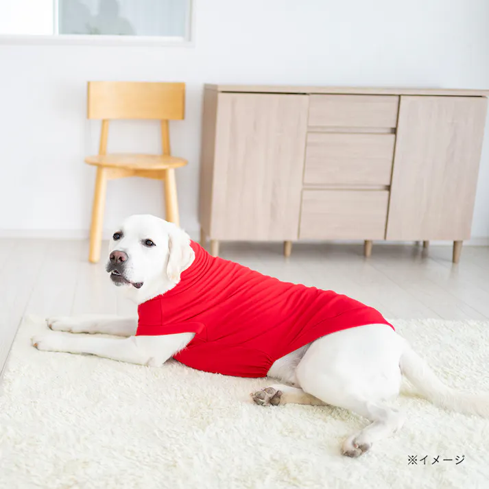 【送料無料】ハイネックカットソー レッド 7Lサイズ ペット服(犬の服)