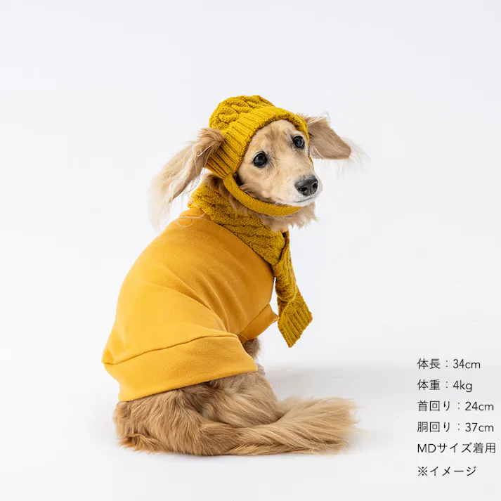 【送料無料】ハイネックカットソー イエロー Mサイズ ペット服(犬の服)(販売終了)