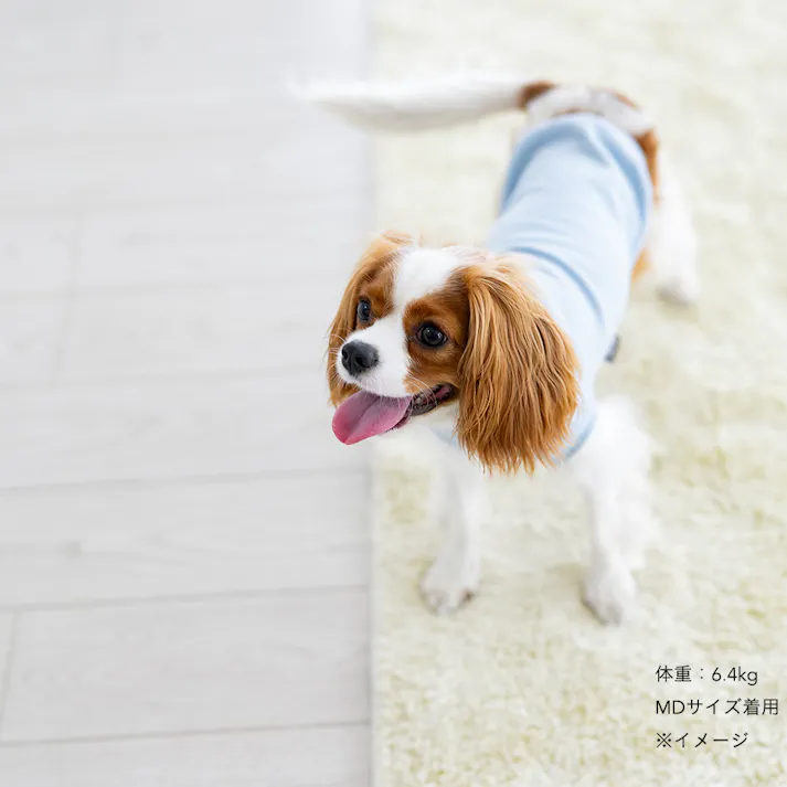 【送料無料】ハイネックカットソー ライトブルー Mサイズ ペット服(犬の服)