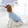 【送料無料】ハイネックカットソー ライトブルー Mサイズ ペット服(犬の服)