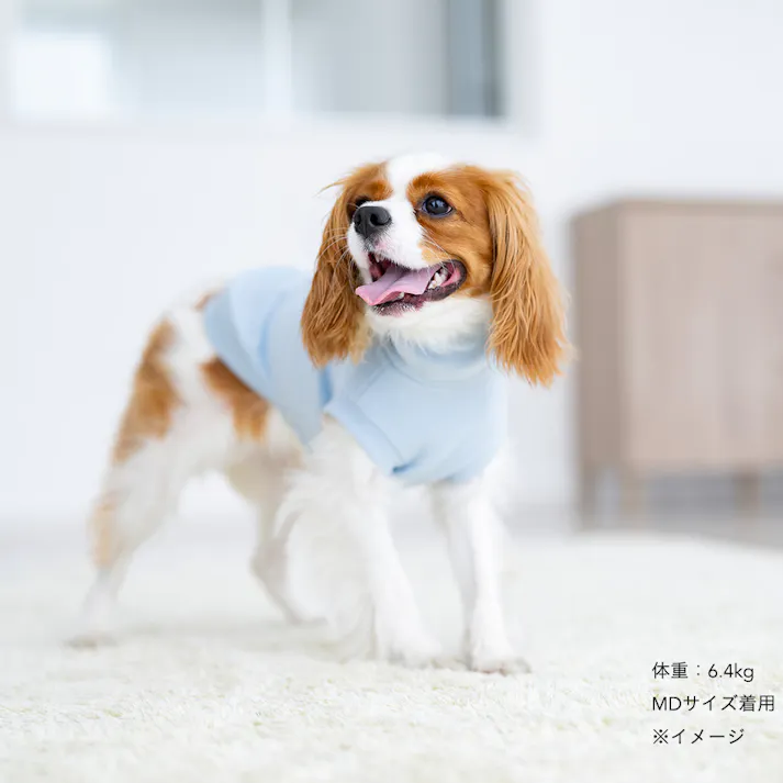 【送料無料】ハイネックカットソー ライトブルー Mサイズ ペット服(犬の服)