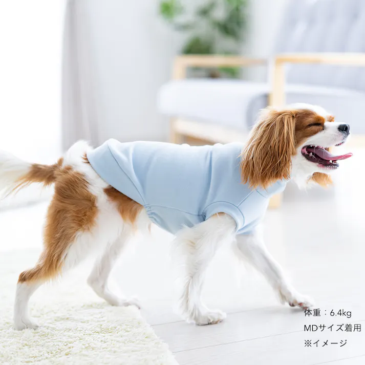 【送料無料】ハイネックカットソー ライトブルー Mサイズ ペット服(犬の服)
