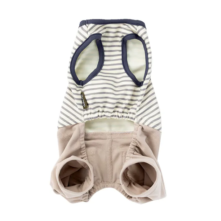 【送料無料】ズボン付ボーダーカットソー ブルー MDサイズ ペット服(犬の服)