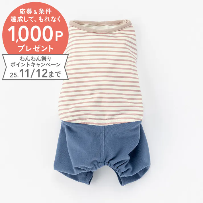 【送料無料】ズボン付ボーダーカットソー ベージュ Mサイズ ペット服(犬の服)