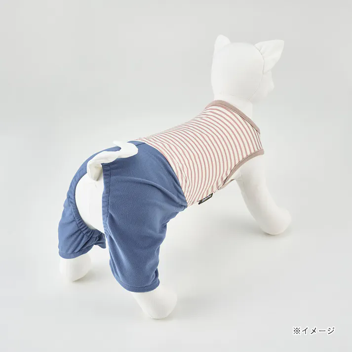 【送料無料】ズボン付ボーダーカットソー ベージュ Mサイズ ペット服(犬の服)