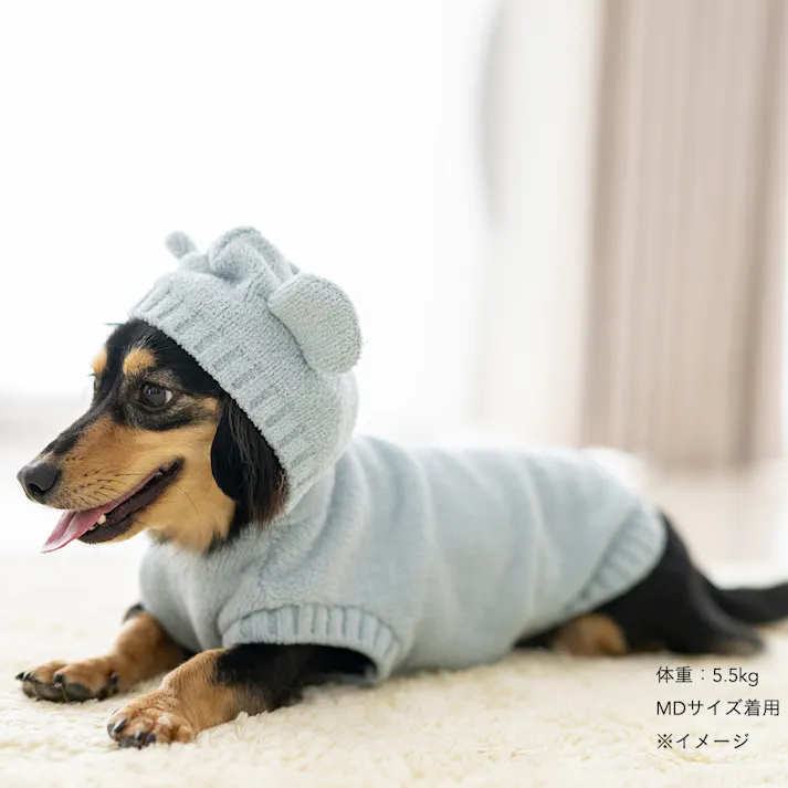 【送料無料】もこくまパーカー ライトブルー Mサイズ ペット服(犬の服)