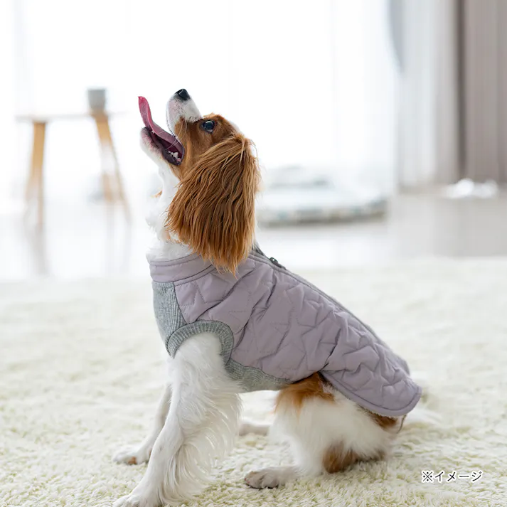 【送料無料】キルトベスト グレージュ SDサイズ ペット服(犬の服)