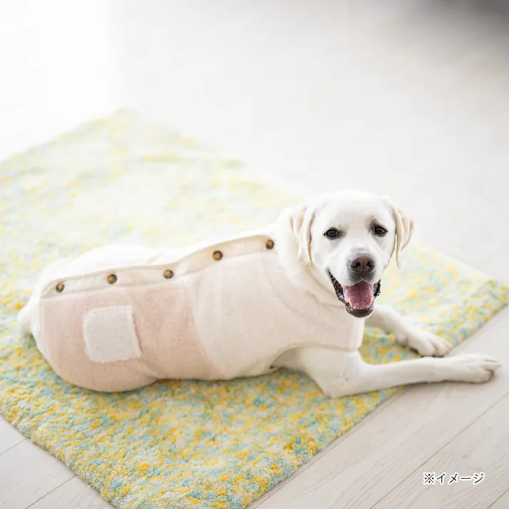 【送料無料】切り替えボアベスト アイボリー MDサイズ ペット服(犬の服)