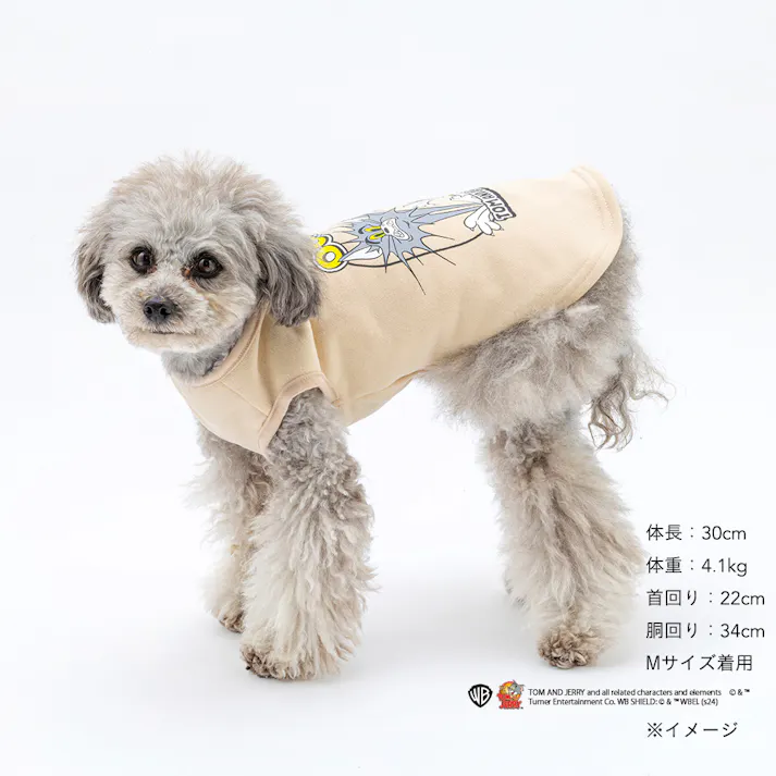 【送料無料】スウェットタンクトップ ベージュ トム Mサイズ ペット服(犬の服)