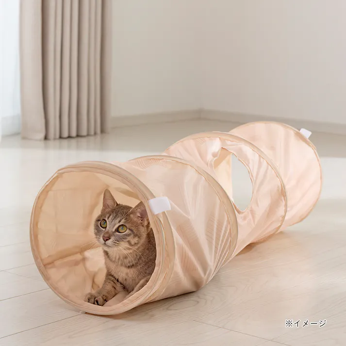 キャットトンネル ストレート