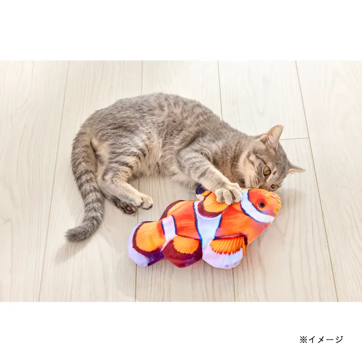 ネコケリおもちゃ カクレクマノミ