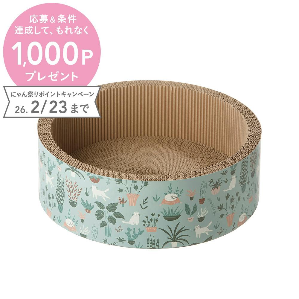 サークルスクラッチャー 植物と猫