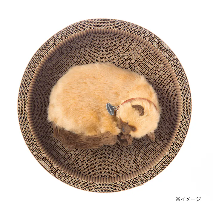 サークルスクラッチャー デニムと猫