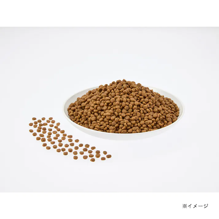 スマイリア 鶏肉と玄米のぜいたく素材ごはん 200g 子猫・妊娠・授乳期用