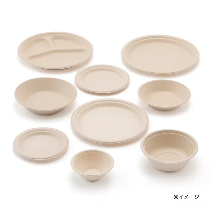 丈夫な無漂白プレート仕切付 26cm 10枚入り