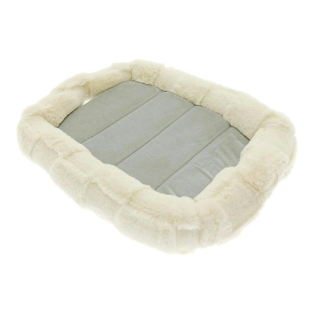 NbV}bg  `FbJ[{[h AC{[ pxbh