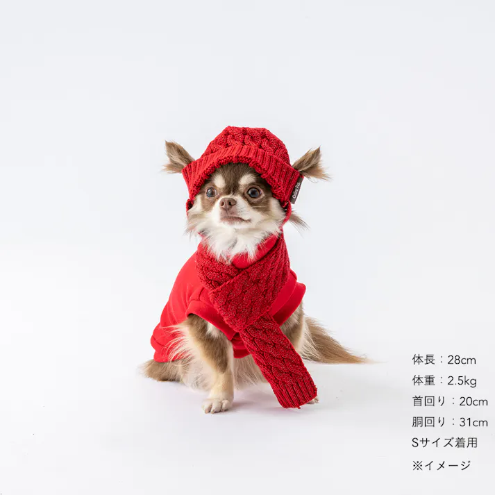 【送料無料】反射ニット帽子 レッド ペット服(犬の服)