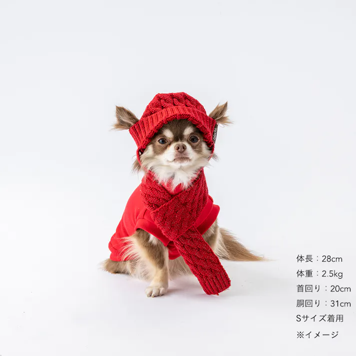 【送料無料】反射ニット帽子 レッド ペット服(犬の服)