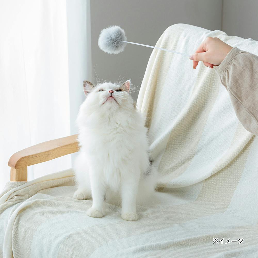 猫じゃらし3本セット グレー | ペット用品（猫） 通販