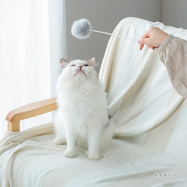 猫じゃらし3本セット グレー