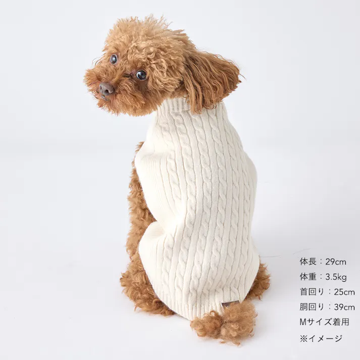 【送料無料】縫い目のない優しいニット アイボリー MDサイズ ペット服(犬の服)