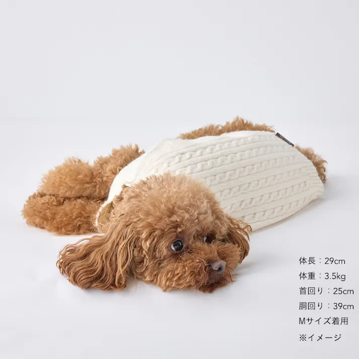 【送料無料】縫い目のない優しいニット アイボリー MDサイズ ペット服(犬の服)